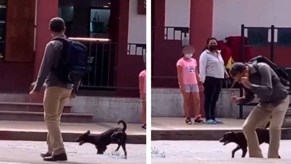 El video del perrito bailando se hizo viral en TikTok