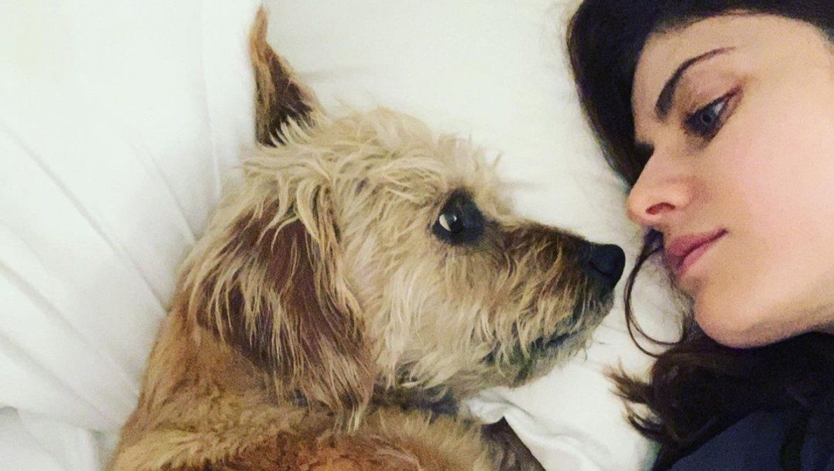 Alexandra Daddario solía publicar muchas fotos junto a su perro Levon | Foto @alexandradaddario (Instagram) Alexandra Daddario solía publicar muchas fotos junto a su perro Levon | Foto @alexandradaddario (Instagram)