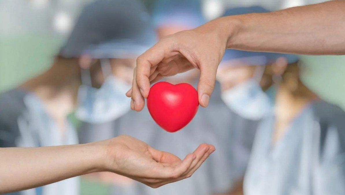 Los requisitos para donar órganos en México. | Foto: clinicainternacional.com.pe/