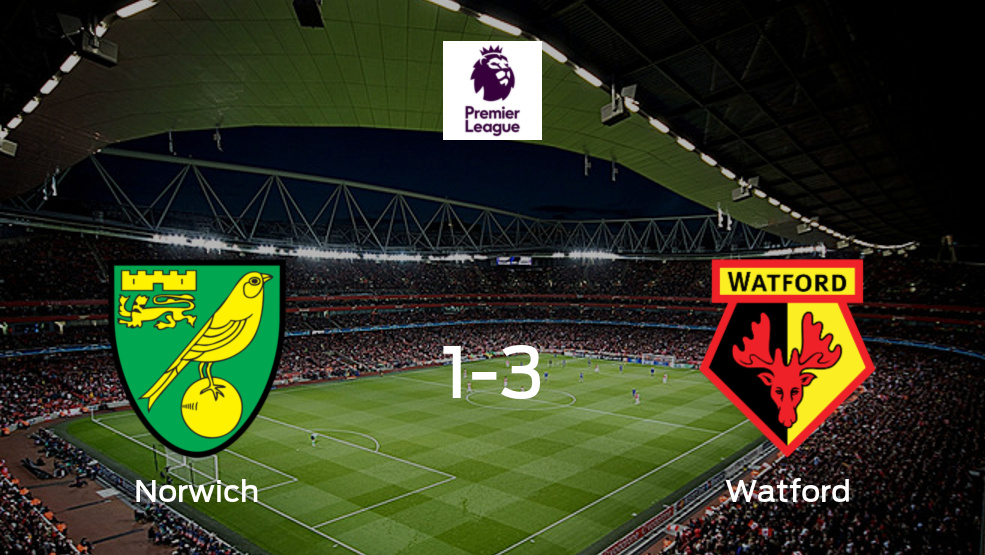 Todos los detalles del encuentro de Norwich City con Watford de la jornada 5 (3-1)