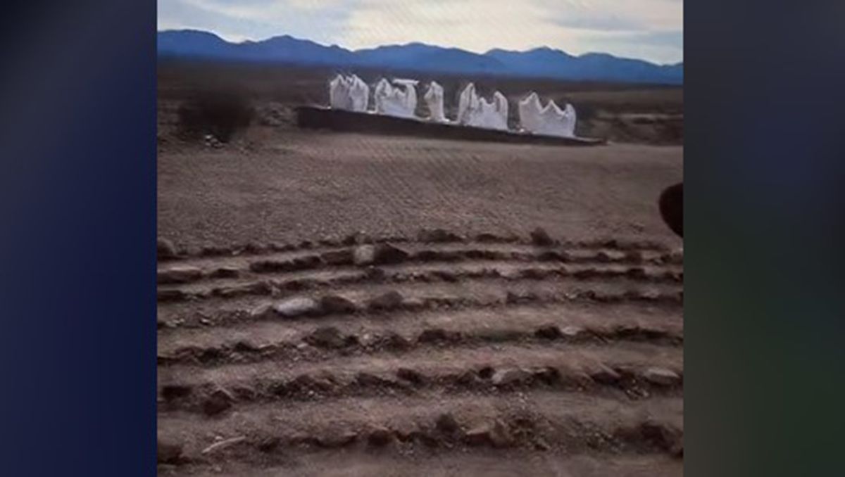 El hallazgo en Google Maps generó reacciones en TikTok