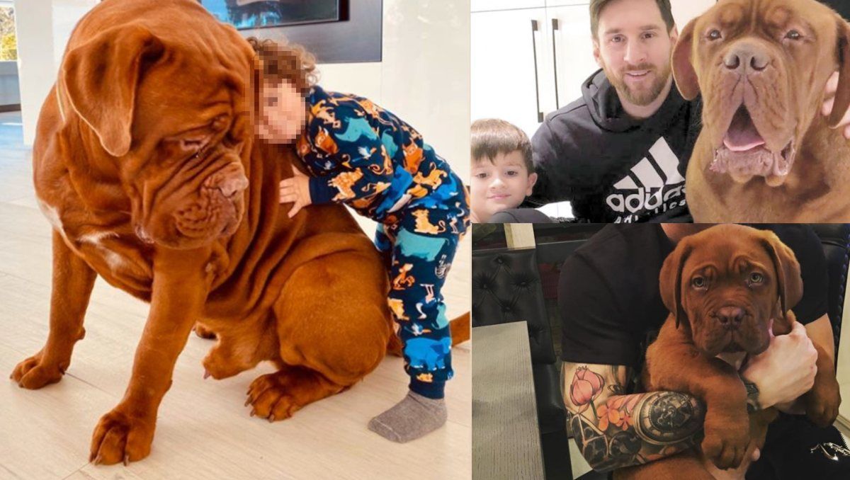 Messi ha compartido imágenes junto a sus perros y sus hijos a través de Instagram