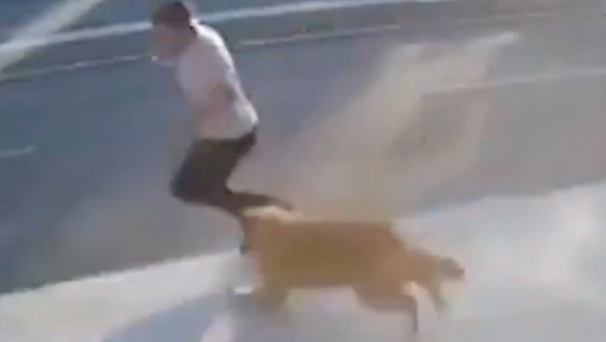 El hombre se encuentra en buen estado de salud tras ser embestido por el camión.