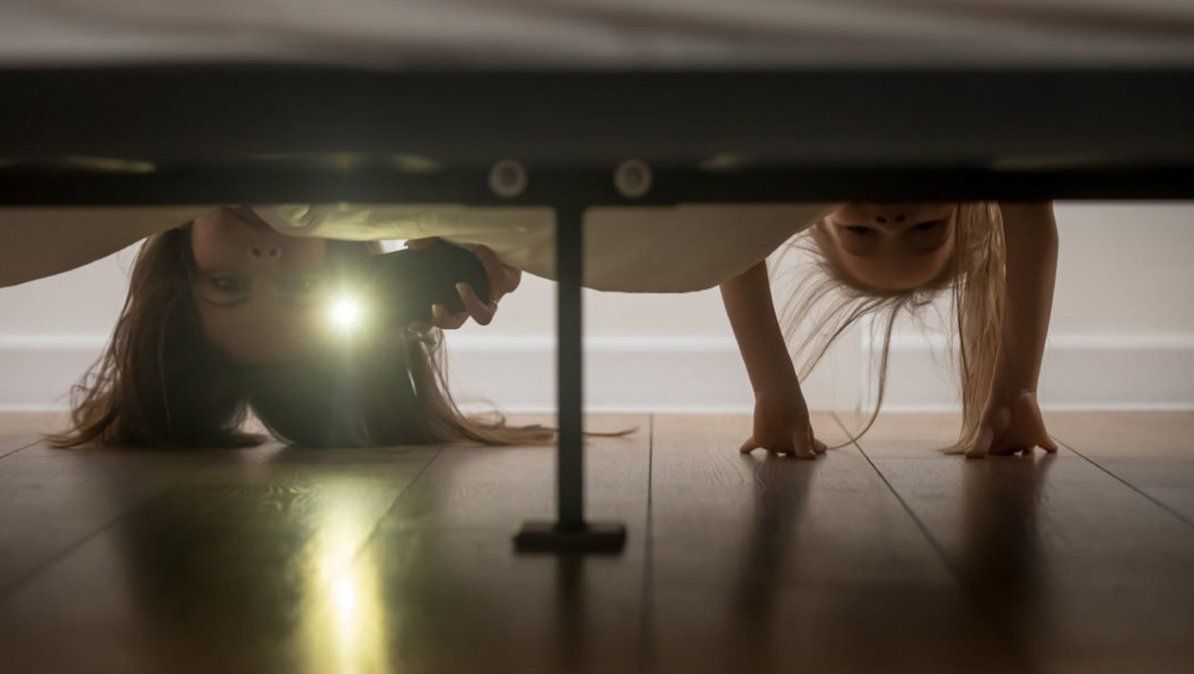 El video se viralizó en TikTok