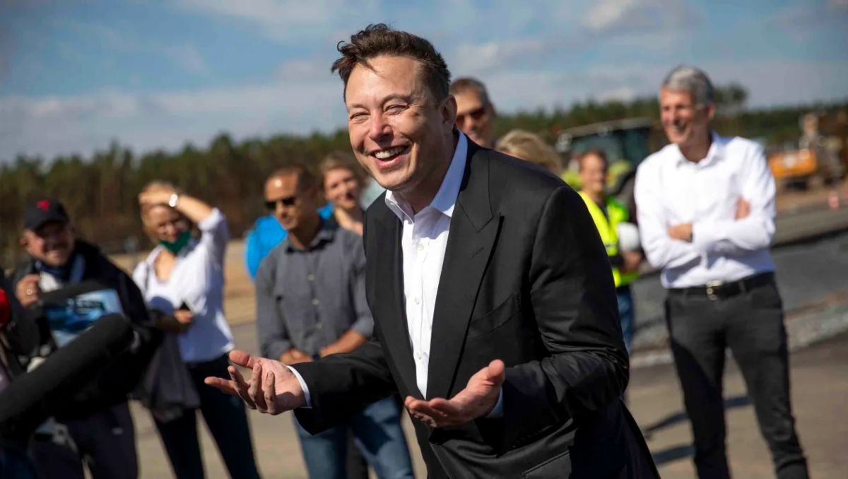 Elon Musk tomó esta decisión después de una encuesta en Twitter. Elon Musk tomó esta decisión después de una encuesta en Twitter.