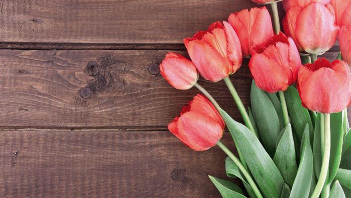 México celebra el Día de las Madres cada 10 de mayo México celebra el Día de las Madres cada 10 de mayo