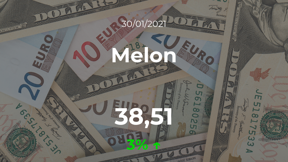 Cotización del Melon del 30 de enero Cotización del Melon del 30 de enero