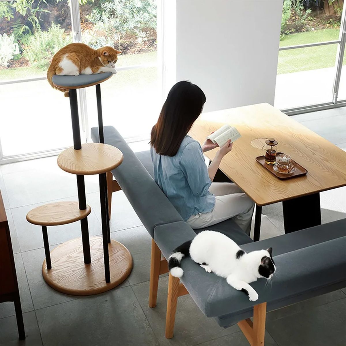 Japón: Diseñan mesa con orificio en el centro para gatos
