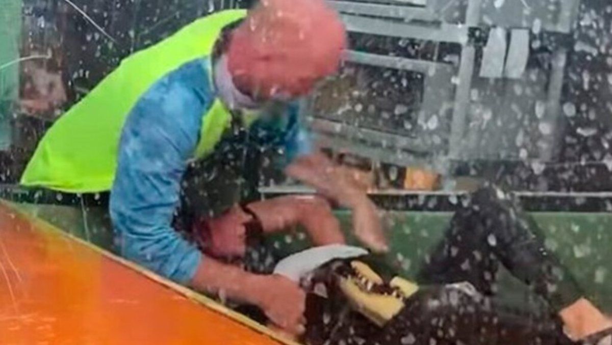 El cocodrilo dio giros en círculos para intentar ahogar a la cuidadora y así devorarla.