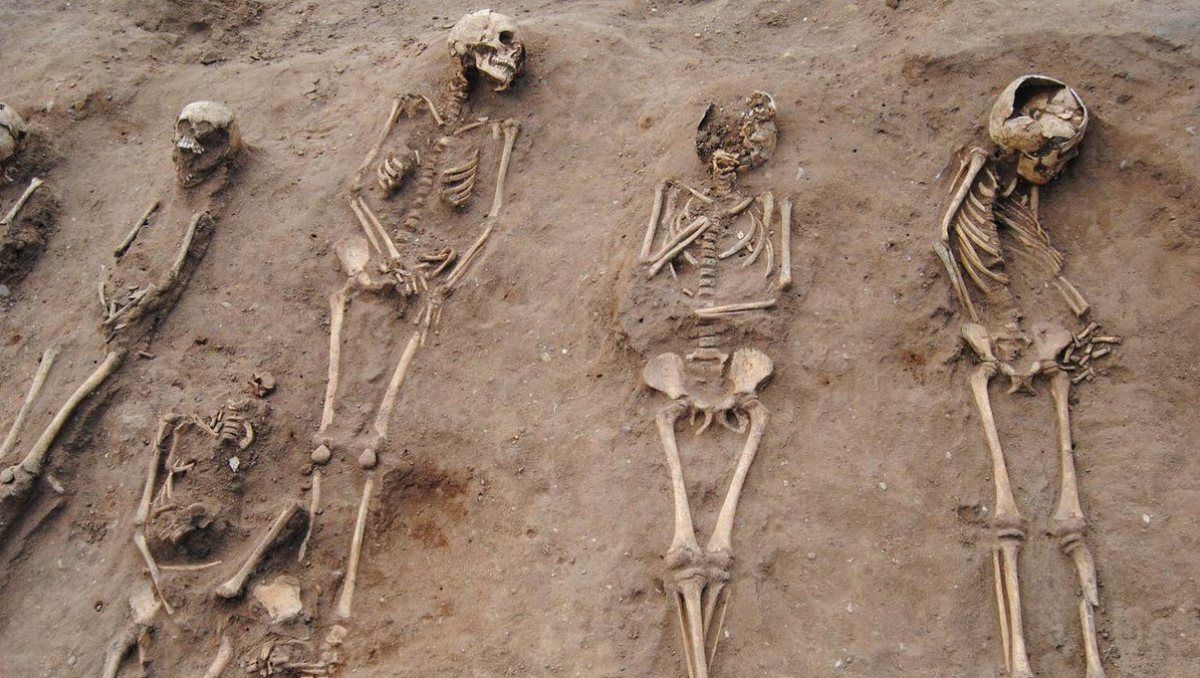 Los restos de los esqueletos dieron algunas claves sobre el origen de la peste negra.