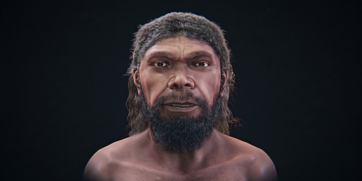 Reconstrucción digital del Homo sapiens más antiguo hallado en Marruecos.