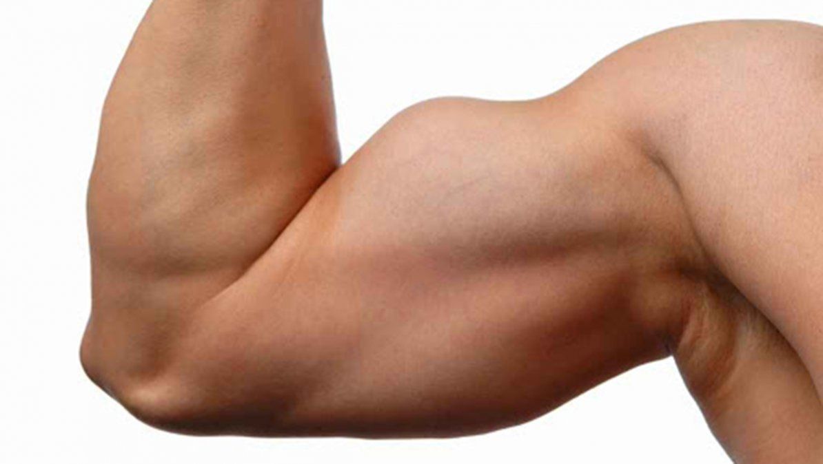 Haz crecer tus bíceps con este ejercicio que es viral en TikTok