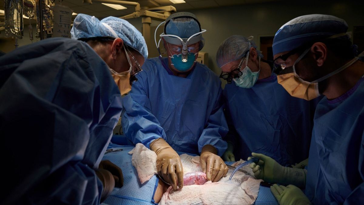 El trasplante significa un gran avance para la medicina El trasplante significa un gran avance para la medicina