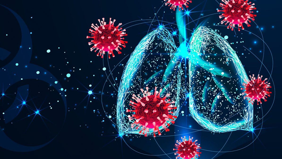 La alimentación es clave para un buen sistema inmunológico