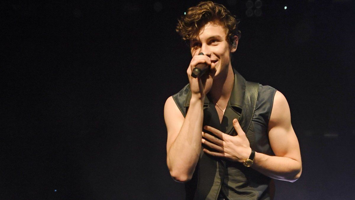 Shawn Mendes mantiene una relación con Camila Cabello