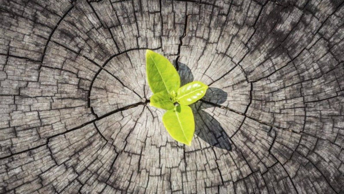 La resiliencia puede ser la clave para una mejor vida. | Foto: infosalud.com La resiliencia puede ser la clave para una mejor vida. | Foto: infosalud.com