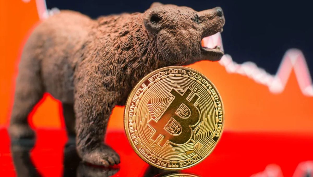 El Bear Market o mercado de oso es un período prolongado de pérdida en el mundo cripto en el que las monedas pueden caer hasta un 20%
