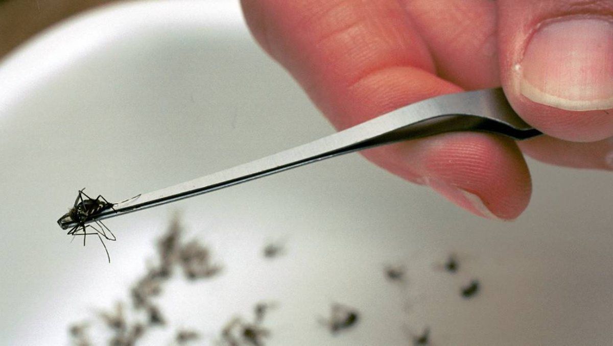 El virus es potencialmente mortal en personas con patologías previas