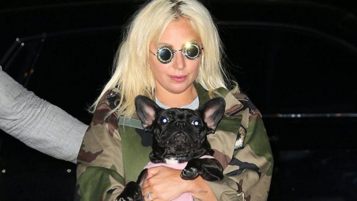 Lady Gaga con uno de sus perros. | Foto: el-nacional.com