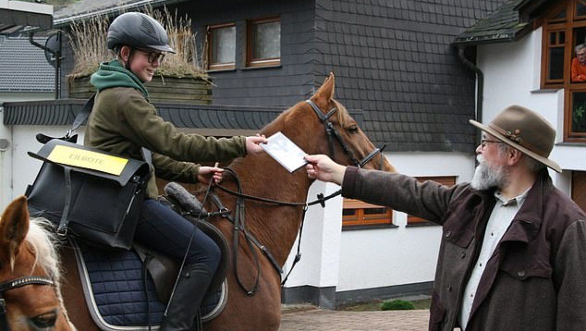 Un caballo fue capaz de entregar un paquete de fotos primero que el internet de Alemania Un caballo fue capaz de entregar un paquete de fotos primero que el internet de Alemania