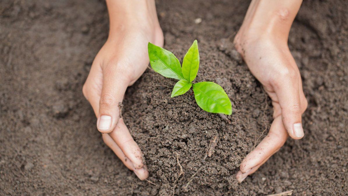 México formará parte de una iniciativa denominada 30x30 | Foto: 65 y más