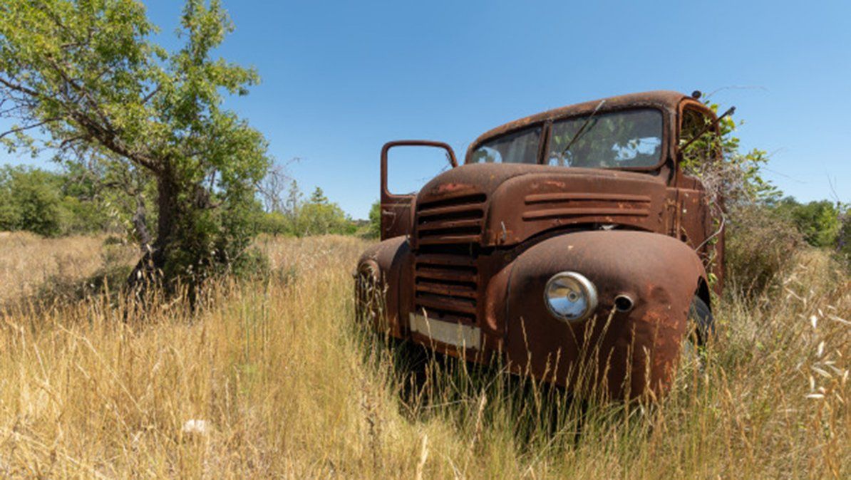 El video se viralizó en TikTok